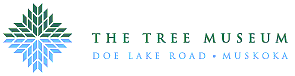 Treemuseum Logo